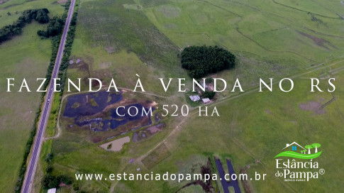 INICIO GADO TOP.00_00_28_25.Quadro008_0aea02c0bd61215461a82dc519c139f5e66c5c41.jpg